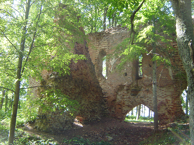 Руины Рингенского замка. <br>